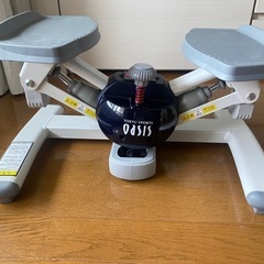TOKYU SPORTS OASIS ツイストエアロステッパー ...