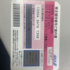ANA 株主優待券