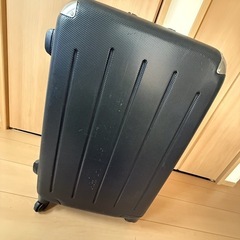 壊れたキャリー