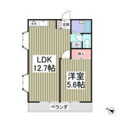 💙💜初期費用5万円パック＆フリーレント1ヶ月付き💜💙敷礼ゼロ🎶毛...