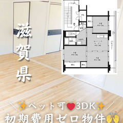 【滋賀県・小堀町】3DK・♥️🐕‍🦺ペット相談可🐈‎♥️【…