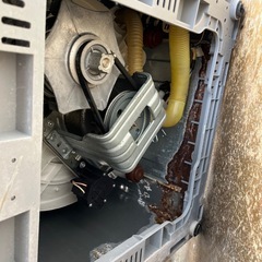 洗濯機 ヤマダセレクト 6キロの画像