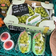 【在庫2】新鮮でどこよりも最安値☆シャインマスカット