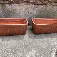 テラコッタ　植木鉢　横長の画像