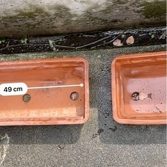 テラコッタ　植木鉢　横長の画像
