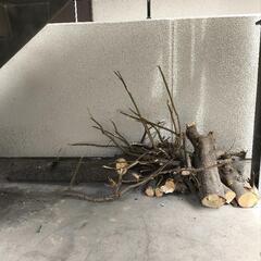 薪 丸太 まき 薪ストーブにいかがでしょうか？