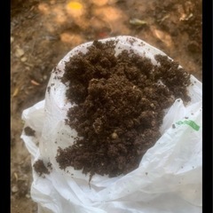 鶏糞