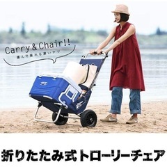 FIELDOOR  トローリーチェア【美品】引取りに来ていただけ...
