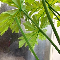 植木造花の画像