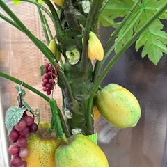 植木造花の画像