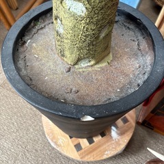 植木造花の画像