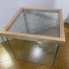 【メーカー廃盤品】クリアなガラス製飼育ケース 300サイズの画像