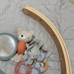 インジェニュイティ ベビージム