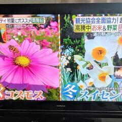 録画機能付 46インチ 日立wooo