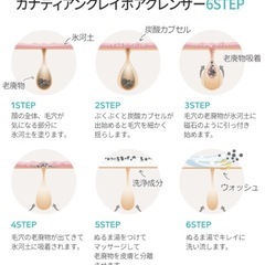 カナディアンクレイポアクレンザー フェイスパック フェイスマスクの画像