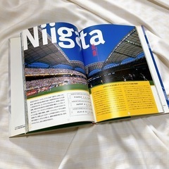 2002 FIFAワールドカップ　ボランティア活動の記録の画像