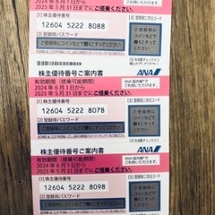 ANA優待券(2025/5/31まで)