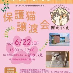 【さいたま市西区】6/22日)猫専門病院「ぽのいえ」保護猫…