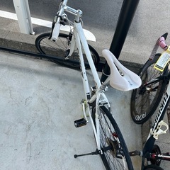 GIANT の画像