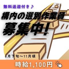 構内での選果作業員