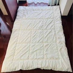 シングルサイズの薄掛け布団２枚