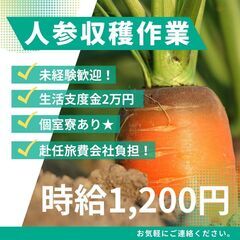 人参収穫機のオペレーター業務（忠類・大正など）