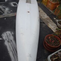 サップ型のボードですの画像