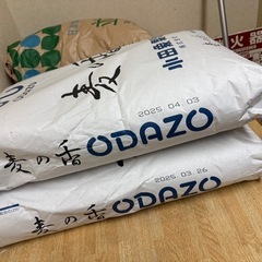 うどんの粉　