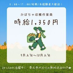 かぼちゃ収穫作業員の画像