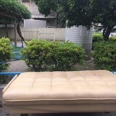 ソファーベッドの画像