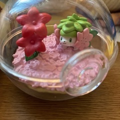 リーメント/ポケットモンスター テラリウムコレクション11 シェイミ