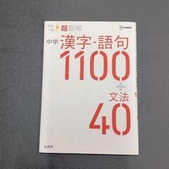 0529-271 本