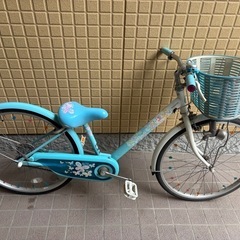 ブリヂストン BRIDGESTONE　エコパル　子供自転車 24インチ