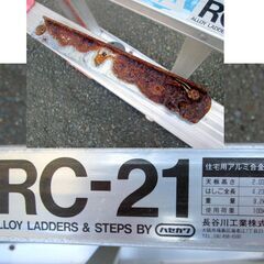 505115 / 脚立 はしご / ハセガワ RC-21 天板高さ2.03m / 中古品 ※お引取限定の画像