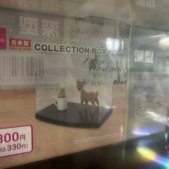【バラ売り可】ダイソー/アクリル収納の画像