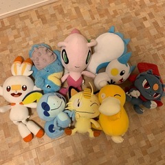 ポケモンぬいぐるみ　8体