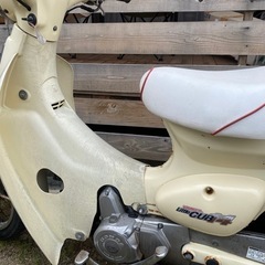 ☆ ★ セル付 リトルカブ ★ ☆の画像