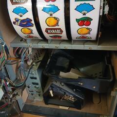 オオハナビ実機の画像