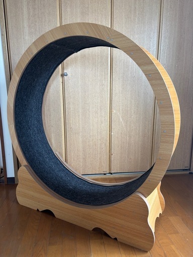 キャットホイール　猫