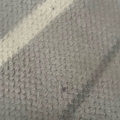 あたたかフランネルラグの画像