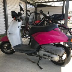 ホンダ　トゥデイ　AF61- 　セルOK（弱い）　4866㎞