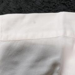 訳あり 半袖Ｙシャツの画像