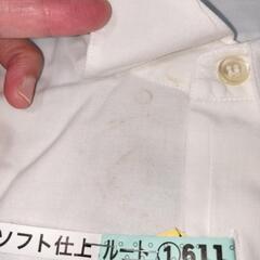 訳あり 半袖Ｙシャツの画像