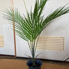 フェイクグリーン　ヤシの画像