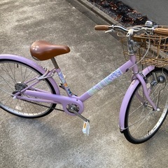 24インチ　エコパルモカ　ジュニアサイクル