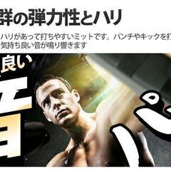 *2個組★ キックミット 軽量 抜群ホールド 幅広サイズ 衝撃吸収 厚さ11cmの画像