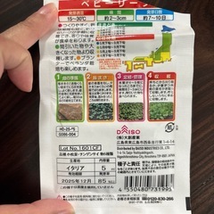 タネの画像