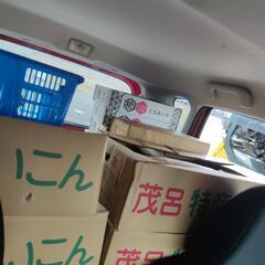 野菜いろいろ