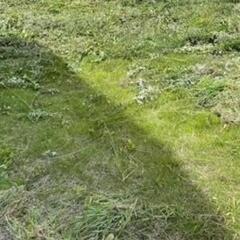 草刈り・草むしり代行します！