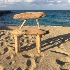 流木の椅子の画像